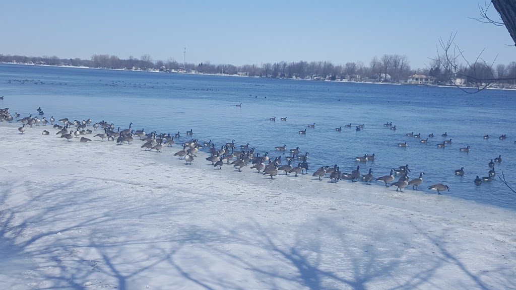 Parc du Domaine-de-Beauchamp | Rue Champlain, Saint-Jean-sur-Richelieu, QC J3A 1N2, Canada