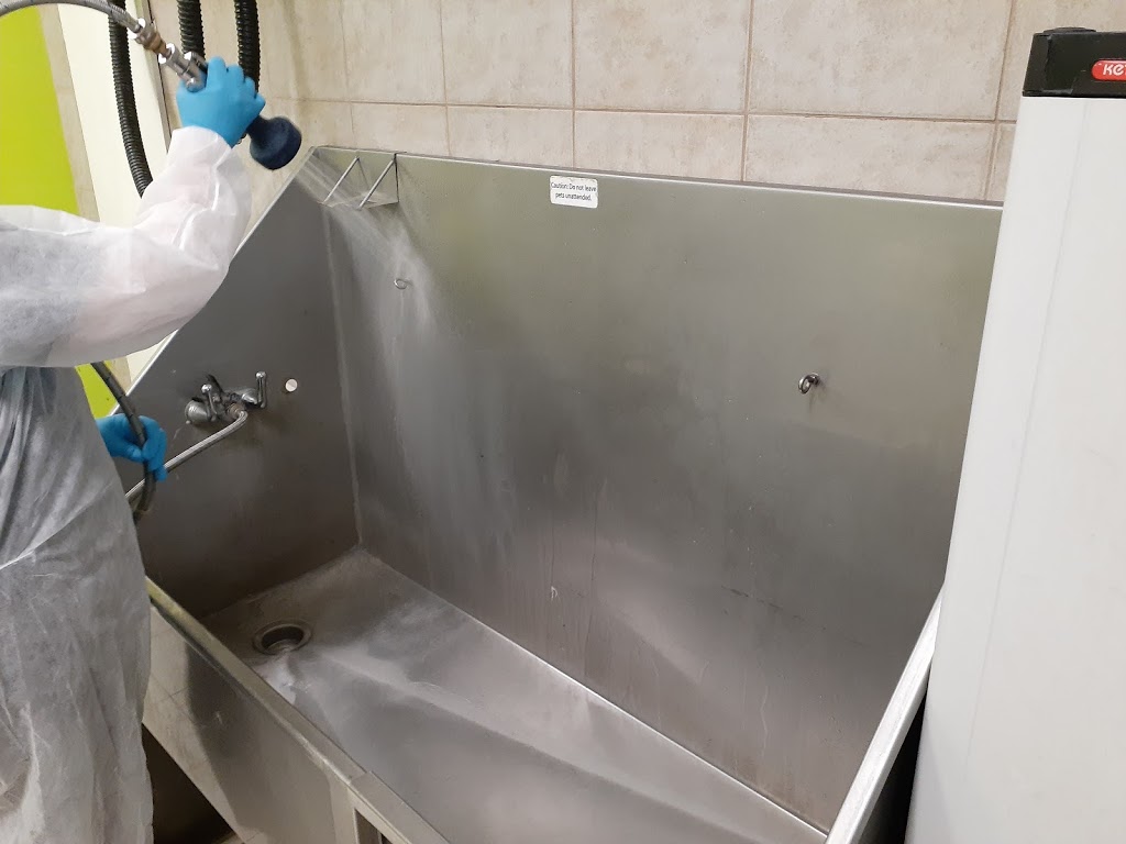 Angel Wings Cleaning Services | 363 Georgian Dr, Barrie, ON L4M 7A2, Canada | Phone: (705) 818-7661