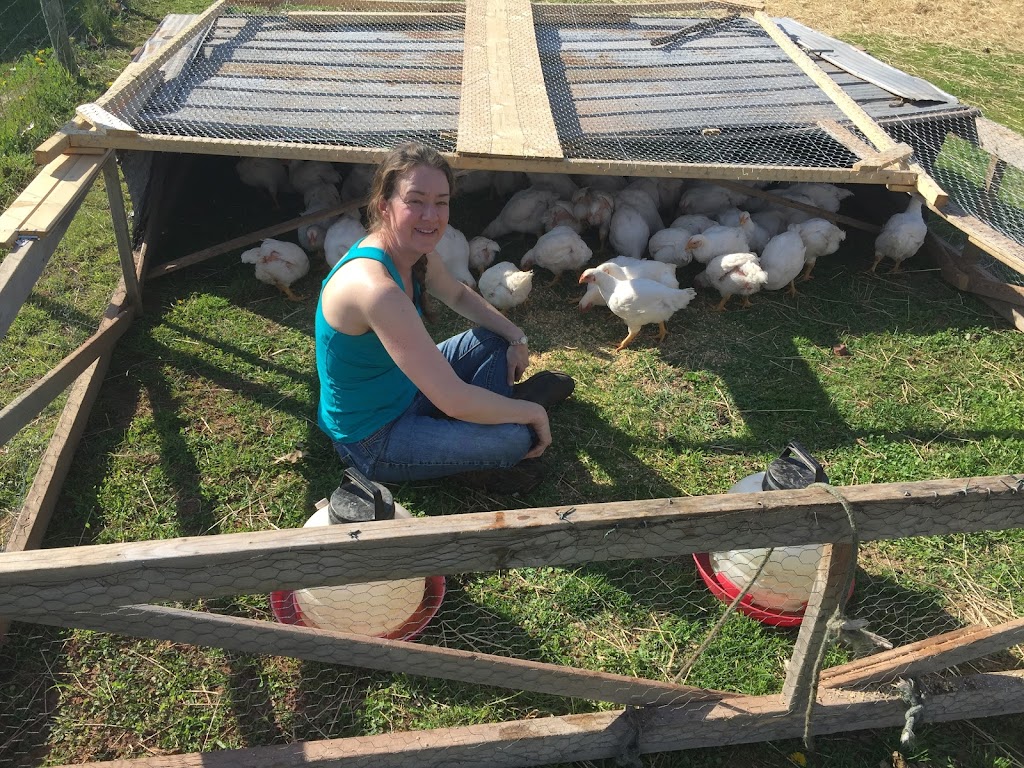Harmony Meadow Farm | 3130 Garfield Rd, Belfast, PE C0A 1A0, Canada | Phone: (902) 659-2550