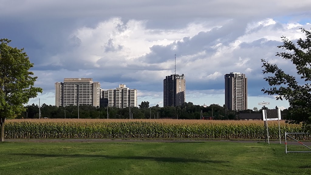 Prince Of Wales Complex | 1401 Prince of Wales Dr, Ottawa, ON K2C 3J8, Canada | Phone: (613) 224-6059