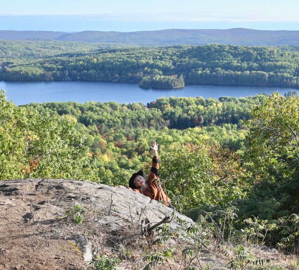 Canadian Chaga | 232 Blackfish Bay Rd, Barrys Bay, ON K0J 1B0, Canada | Phone: (613) 756-5001