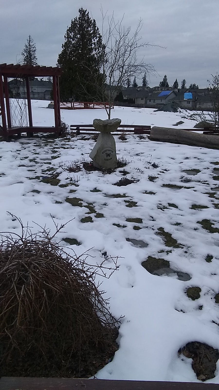 Schara Tzedeck Cemetery | 16656 60 Ave, Surrey, BC V3S 1S9, Canada