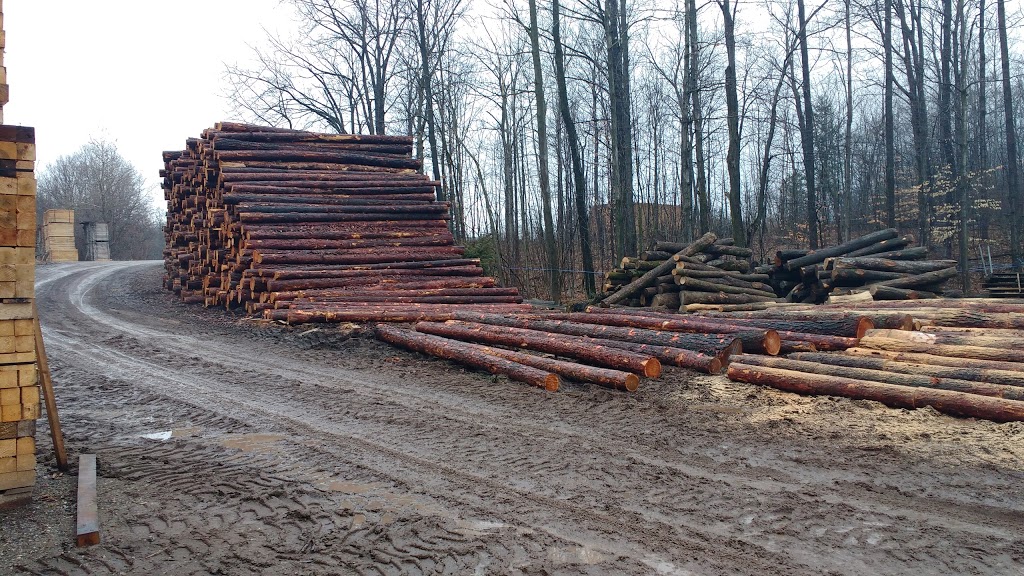 Moses Burkhart Sawmill | 2896 Hackbart Rd, St. Clements, ON N0B 2M0, Canada | Phone: (519) 699-5751