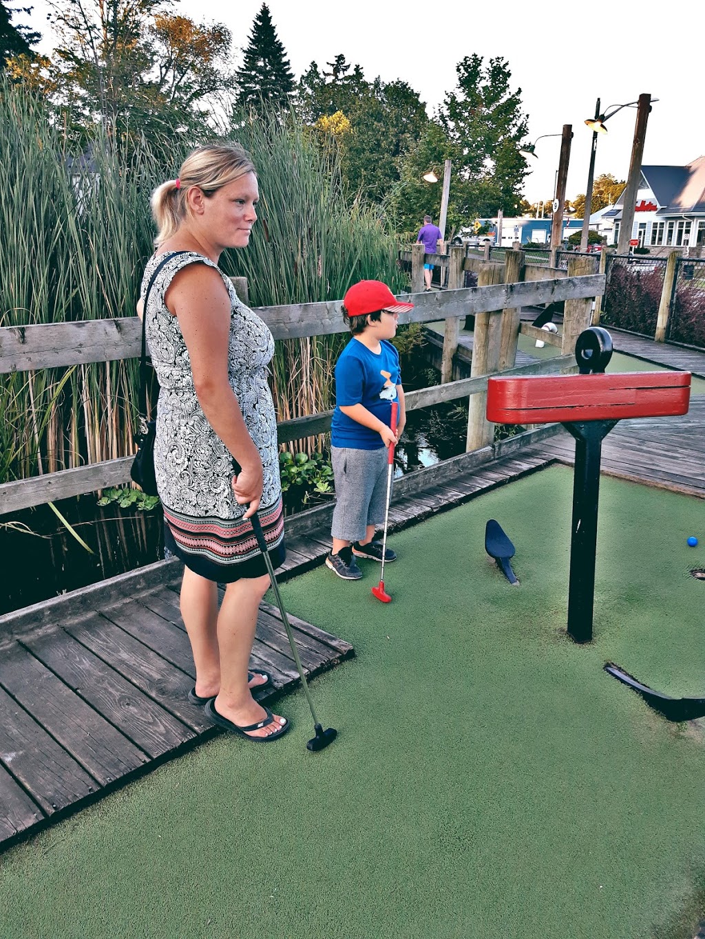 Arbortown Mini-golf | 100 Main St, Port Dover, ON N0A 1N0, Canada | Phone: (519) 583-3499