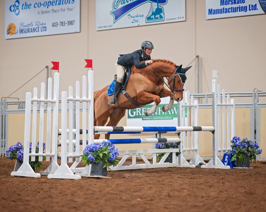 Nowell Equine | 274188, Range Rd 20, AB T4B 4M4, Canada | Phone: (403) 996-4456