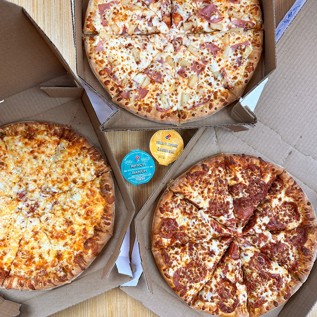 Dominos Pizza | 2950 22 St, Red Deer, AB T4R 0H9, Canada | Phone: (403) 346-6005