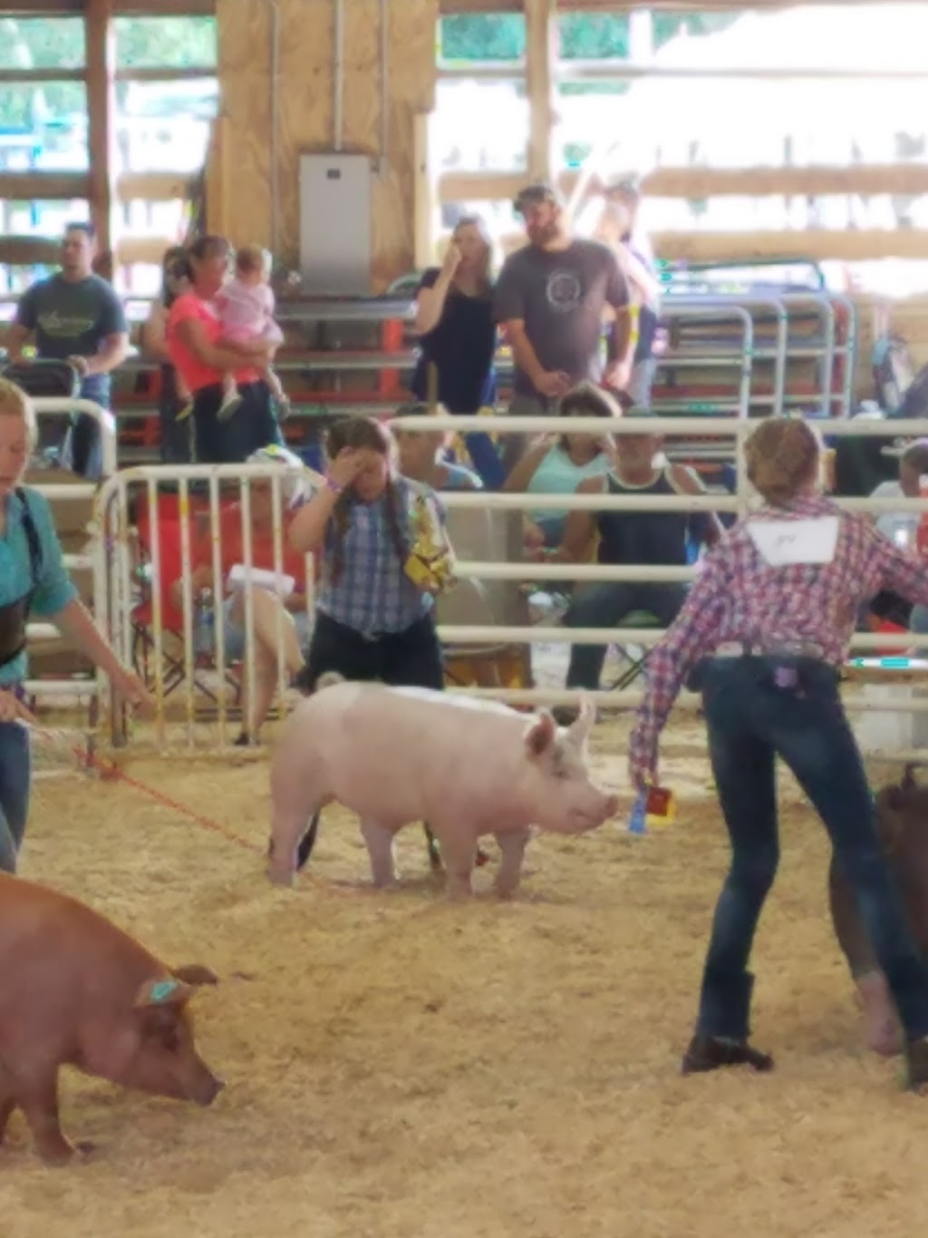 Goodells County Park | 8264 County Park Dr, Goodells, MI 48027, USA | Phone: (810) 989-6960