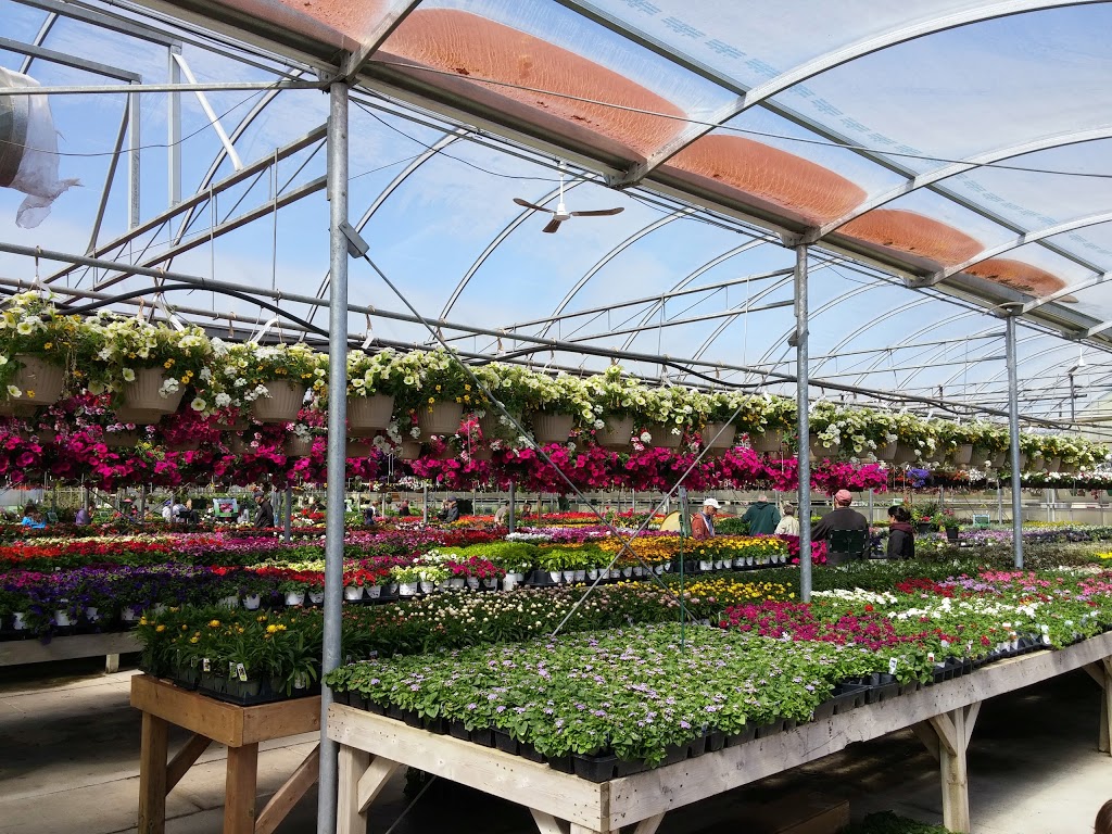 Meadowville Garden Centre Inc. | 7767 Wellington Rd 124, Guelph, ON N1H 6H7, Canada | Phone: (519) 822-0840
