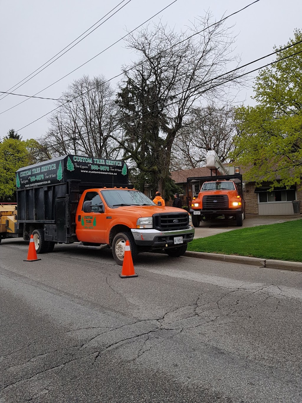 Custom Tree Service | 744 Queen St, Chatham, ON N7M 2K2, Canada | Phone: (519) 359-9876