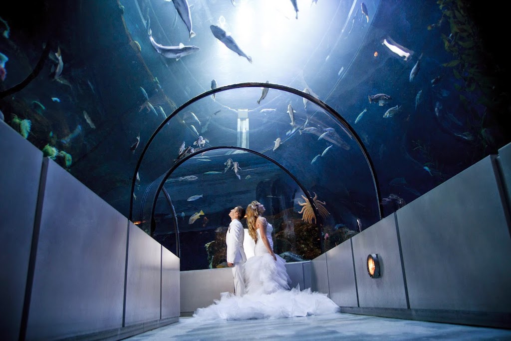 PhotoGraphe Charles Nadeau | 388 QC-116, Richmond, QC J0B 2H0, Canada | Phone: (819) 238-1695