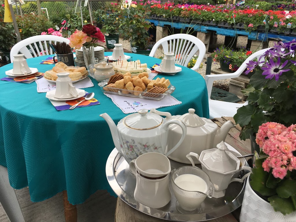 Riverside Greenhouse and Nursery | 211 Thorp Rd, Oliver, BC V0H 1T0, Canada | Phone: (250) 408-9500
