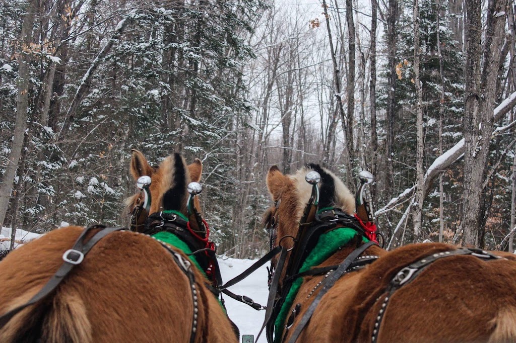 Windy Willow Ranch | 916 Ch du 4e-Rang, LIsle-aux-Allumettes, QC J0X 1M0, Canada | Phone: (819) 923-0654