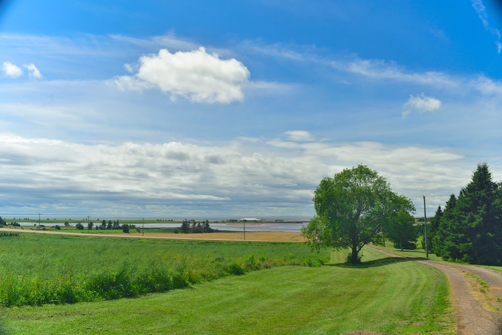 Tole Treasures & Antiques | 19832 Trans-Canada Hwy, Victoria, PE C0A 2G0, Canada | Phone: (902) 658-2581