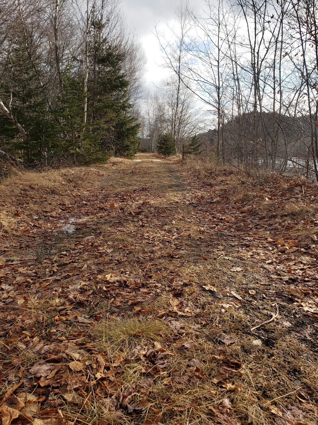 Gibraltar Rock Loop Trailhead | NS-357, Halifax, NS B0J 1N0, Canada