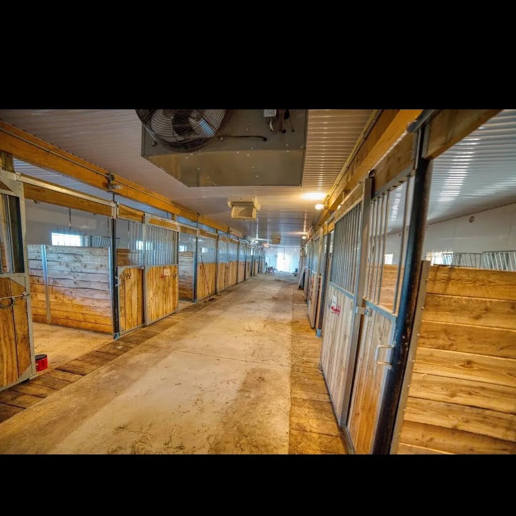 Centre équestre des ruisseaux inc | 730 Av. des Ruisseaux, Pintendre, QC G6C 1N1, Canada | Phone: (418) 563-6281