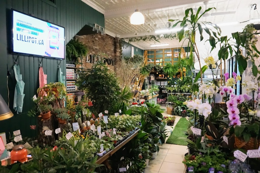 Lillipot - Boutique Florale | 3135 Rue Wellington, Verdun, QC H4G 1T2, Canada | Phone: (514) 507-2580
