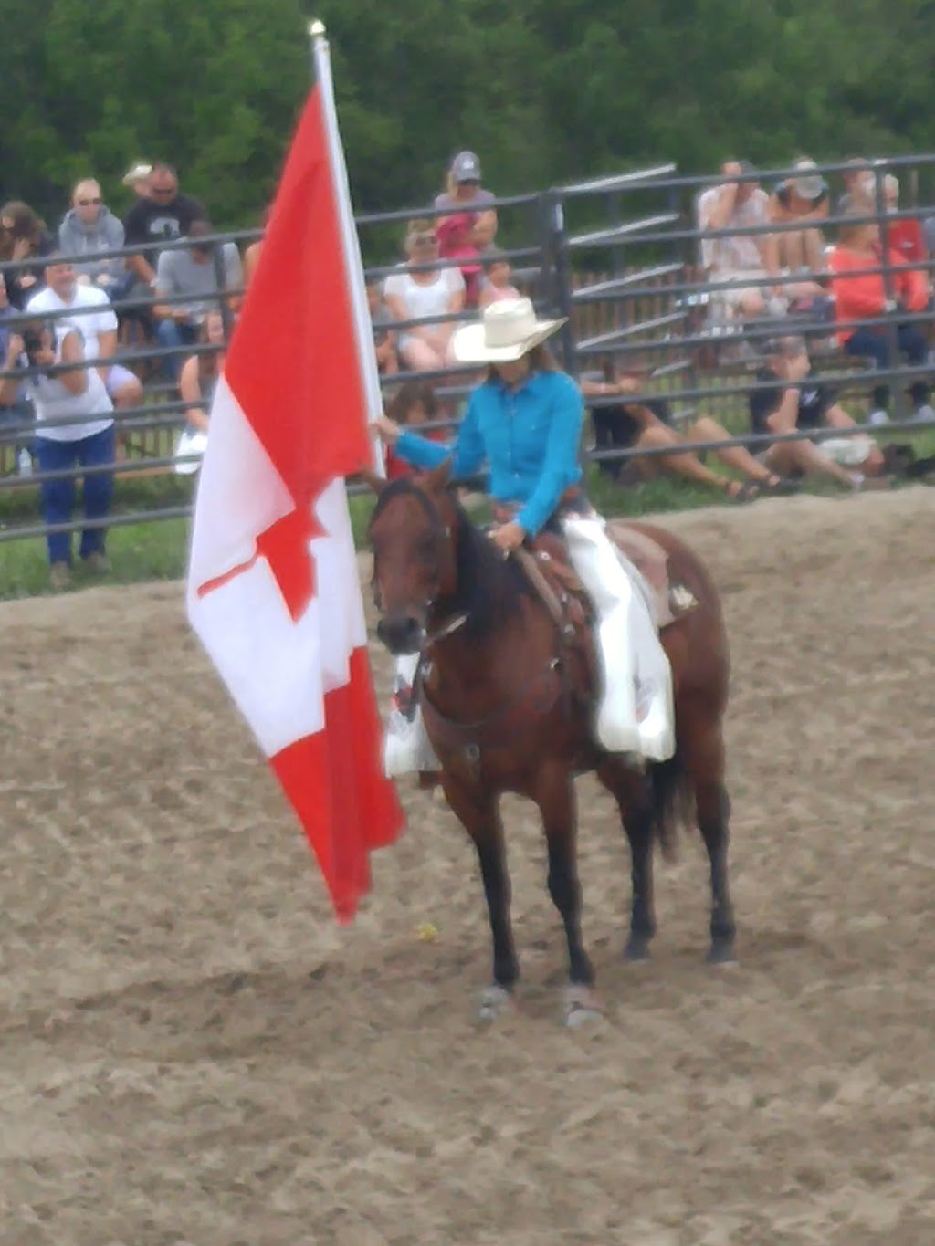Roseneath Pro Rodeo | 9059-9123 45, Roseneath, ON K0K 2X0, Canada | Phone: (905) 352-3778