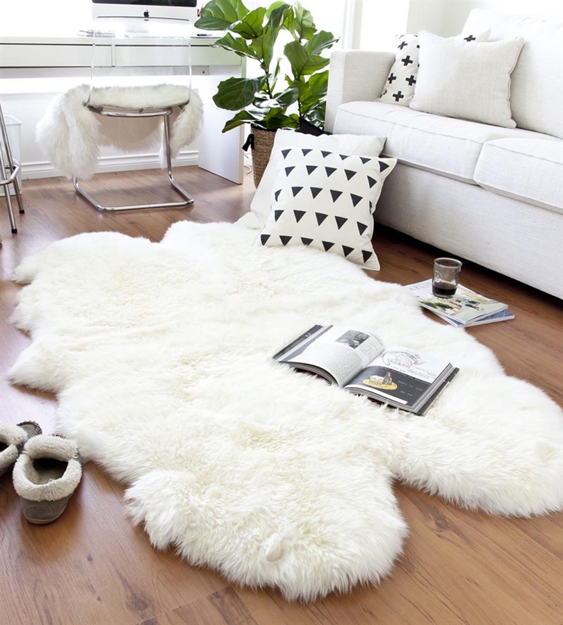 Splendid Decor | 6042 South Terwillegar Blvd NW, Edmonton, AB T6R 0K6, Canada | Phone: (780) 802-3172