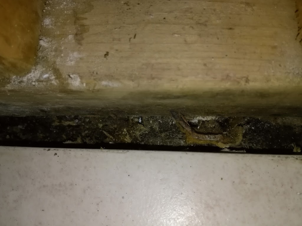 Extrême Extermination | C.P. 52, Trois-Rivières, QC G0X 2P0, Canada | Phone: (819) 609-0897