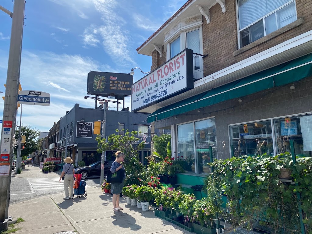 Natural Florist | Toronto, ON M4C 1J4, Canada | Phone: (416) 696-2620
