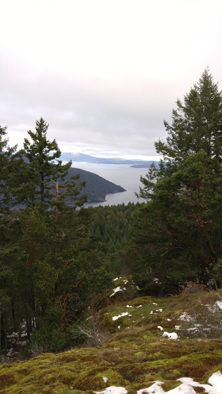 Gowlland Tod Provincial Park | Ross Durrance Rd, Highlands, BC V9E 2A3, Canada