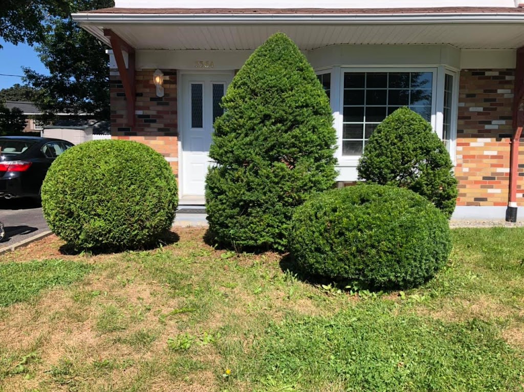 Terraco paysage | 5 Rue Ontaritzi, Fossambault-sur-le-Lac, QC G3N 0E5, Canada | Phone: (418) 805-1559