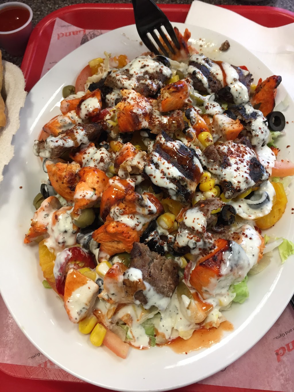 Pita Land | 751 Don Mills Rd, North York, ON M3C 1S3, Canada | Phone: (647) 343-5400