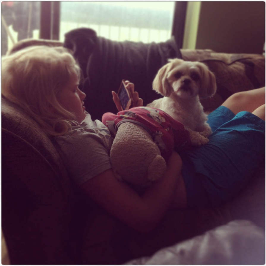 Brendas Dog Spa | 2171 Dunwin Dr #10, Mississauga, ON L5L 1X2, Canada | Phone: (647) 968-6722