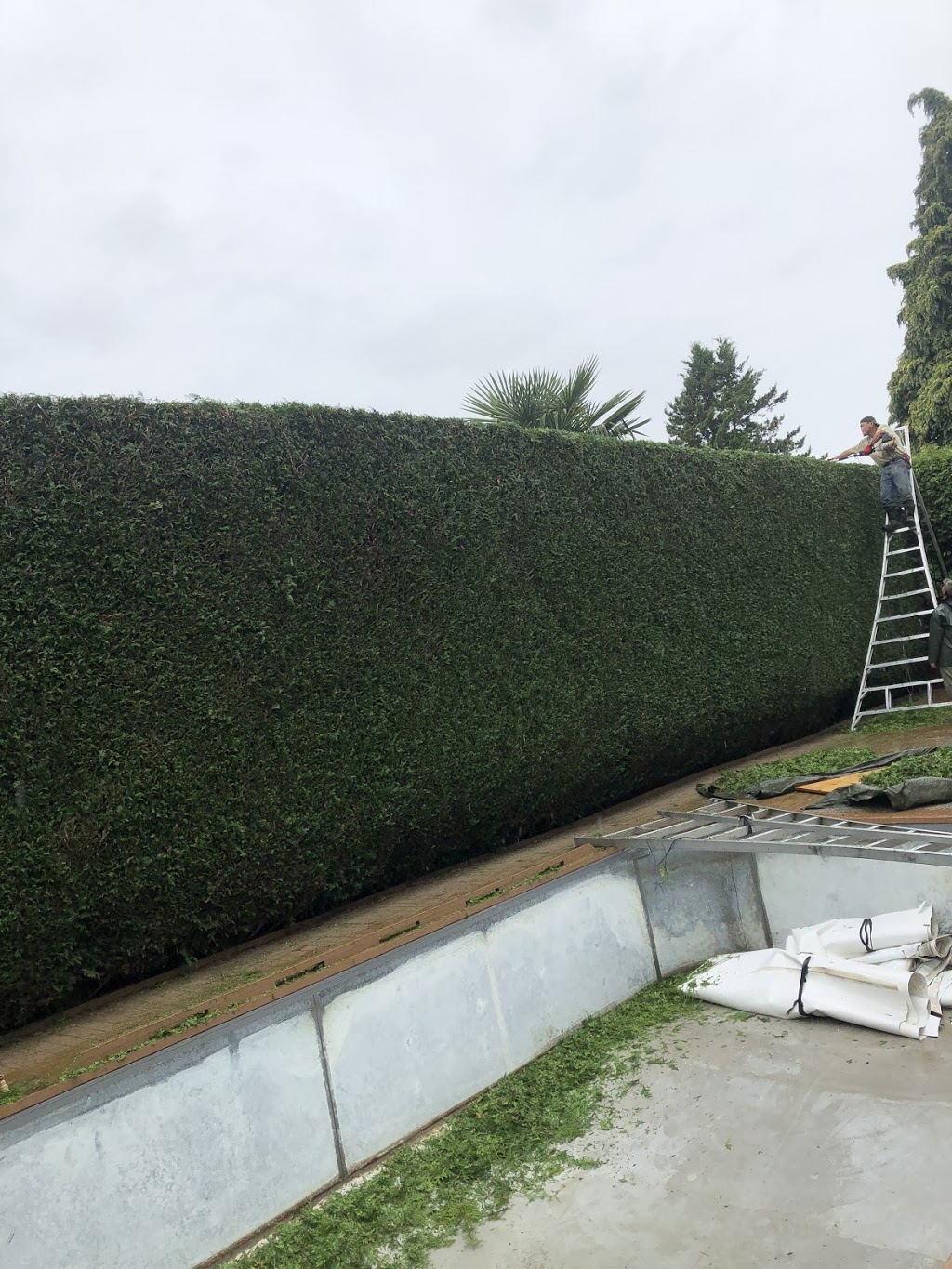 Greenyard Gardening Svc | 15055 94 Ave, Surrey, BC V3R 7L9, Canada | Phone: (604) 582-9513
