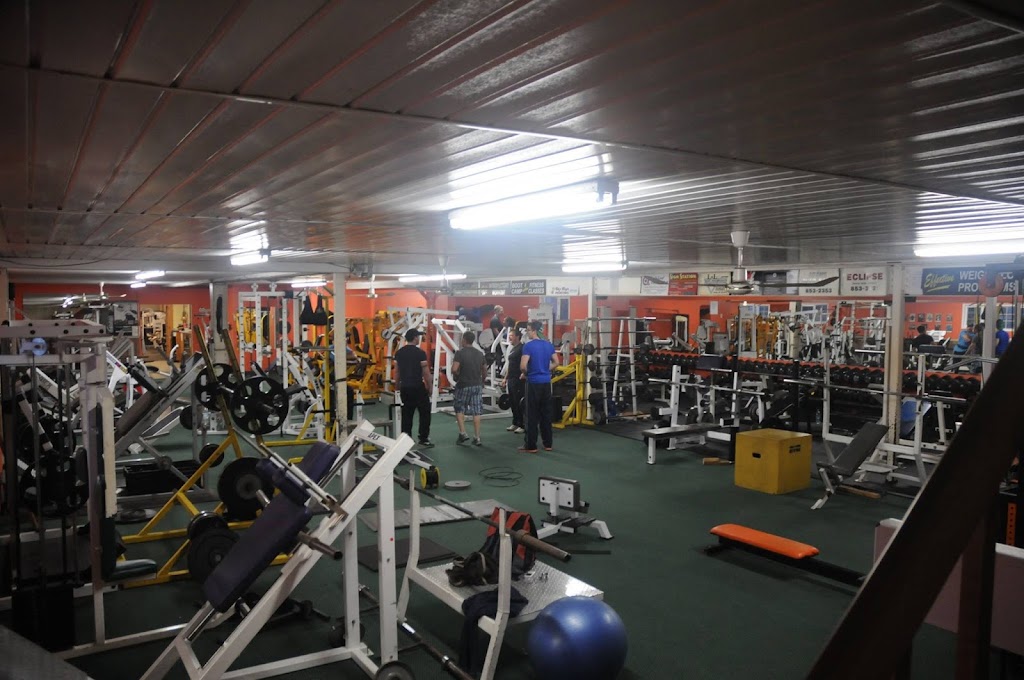 Iron Haven Gym | 10 Argyle St, Alberton, PE C0B 1B0, Canada | Phone: (902) 853-3421