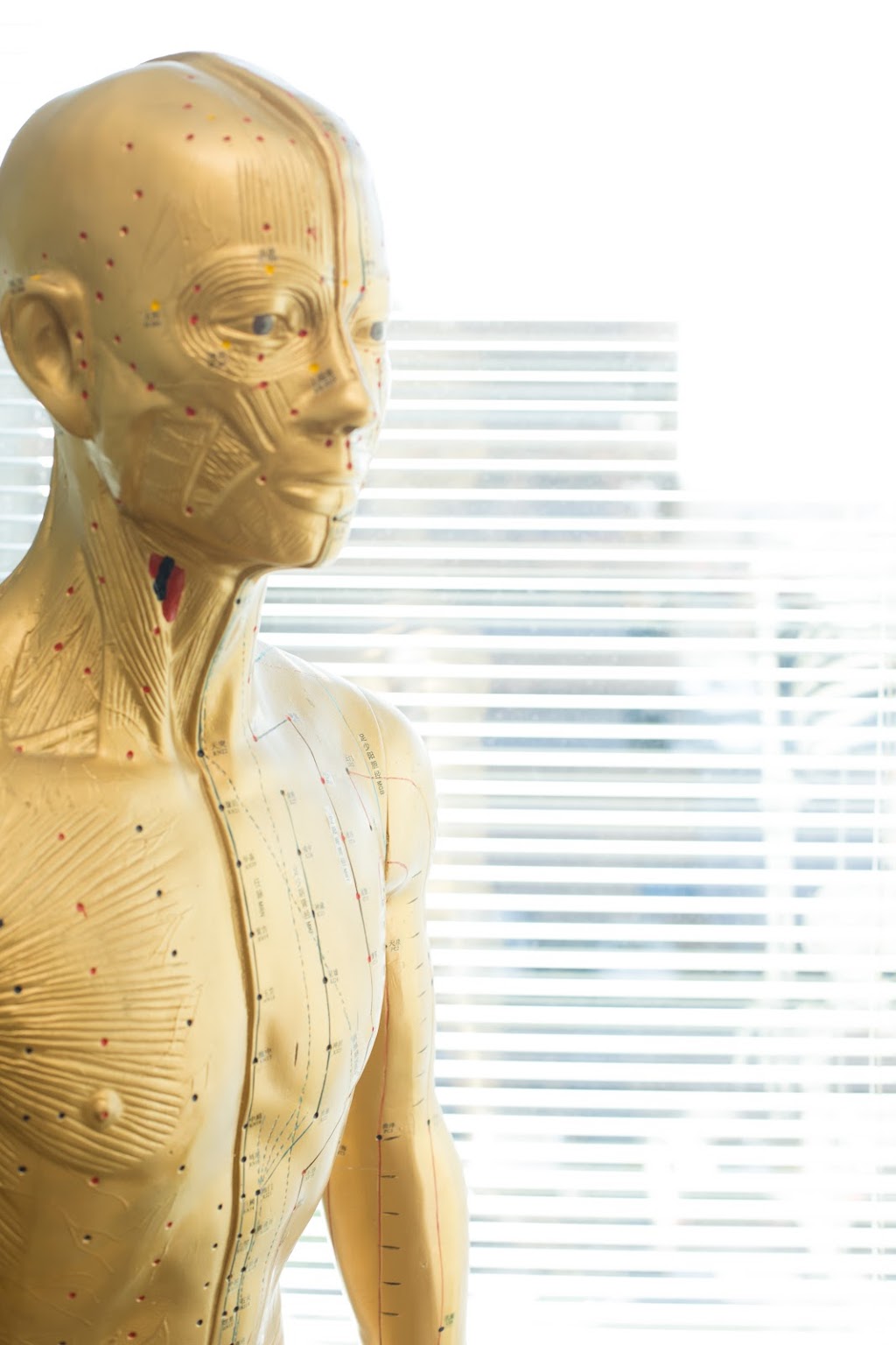 CITCM Canadian Institute of Traditional Chinese Medicine & Massa | Two Executive Place, 1824 Crowchild Trail NW Unit 300, Calgary, AB T2M 3Y7, Canada | Phone: (403) 520-5258