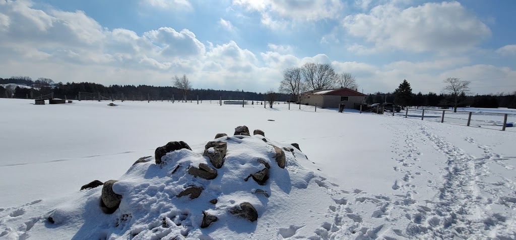 Kavanaugh Farms | 4533 Old Scugog Rd, Bowmanville, ON L1C 6T4, Canada | Phone: (289) 356-1029