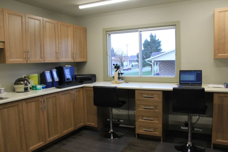 Veterinary Clinic St-Onge inc. | 3085 Boulevard Lemire, Drummondville, QC J2B 6Y8, Canada | Phone: (819) 477-0125