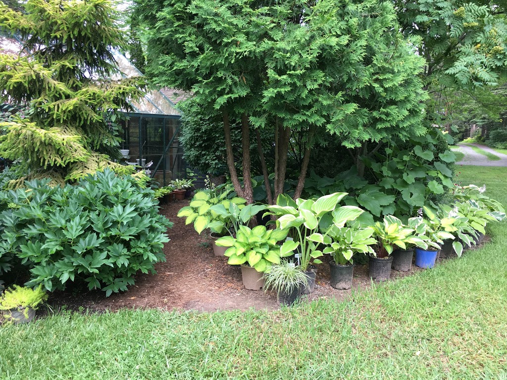 Olde Towne Gardens | 716 Lakeshore Rd, Niagara-on-the-Lake, ON L0S 1J0, Canada | Phone: (905) 937-6758