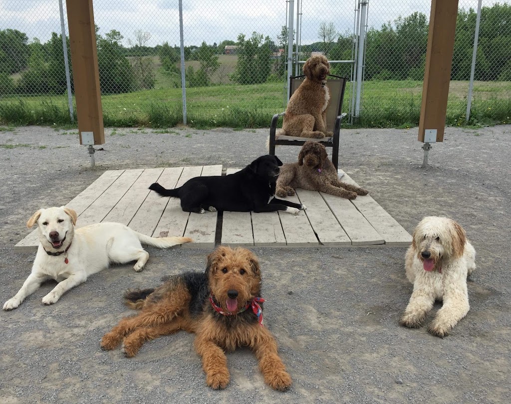 Hotel La Grange canine pension | 20012 Rue Victor, Mirabel, QC J7J 1P4, Canada | Phone: (450) 420-5444