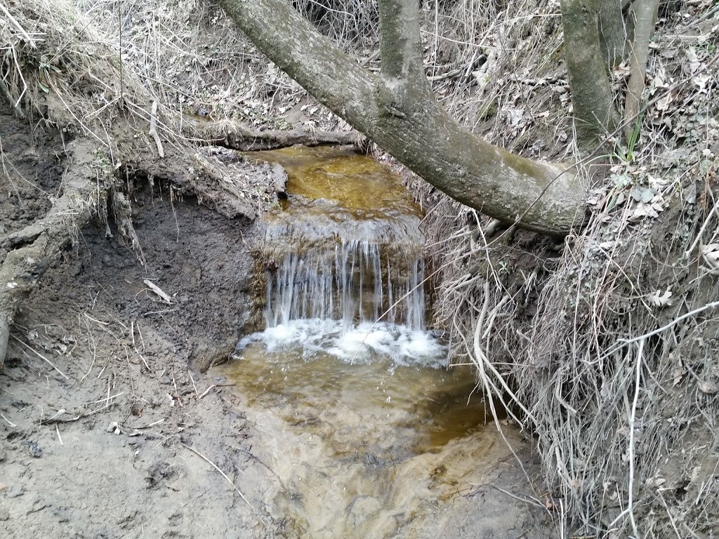 Woodsong County Park | 3494 Abbottsford Rd, North Street, MI 48049, USA