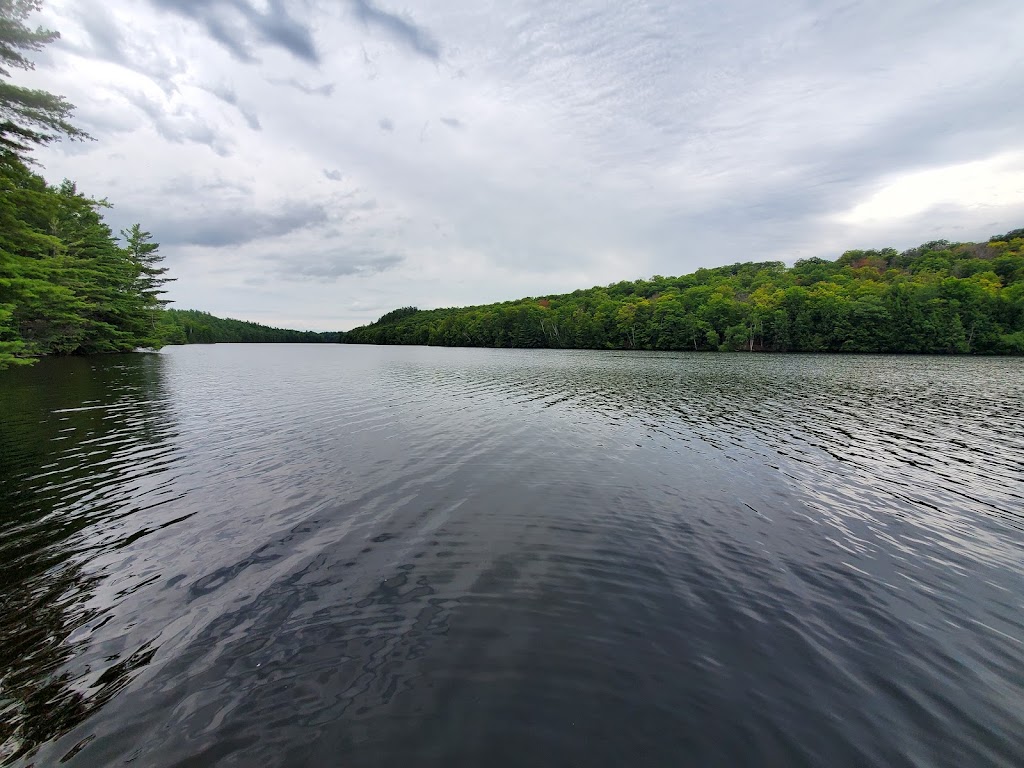 Tom Irwin Adventure Tours | 636 Mill St Unit 2, Calabogie, ON K0J 1H0, Canada | Phone: (613) 362-2670