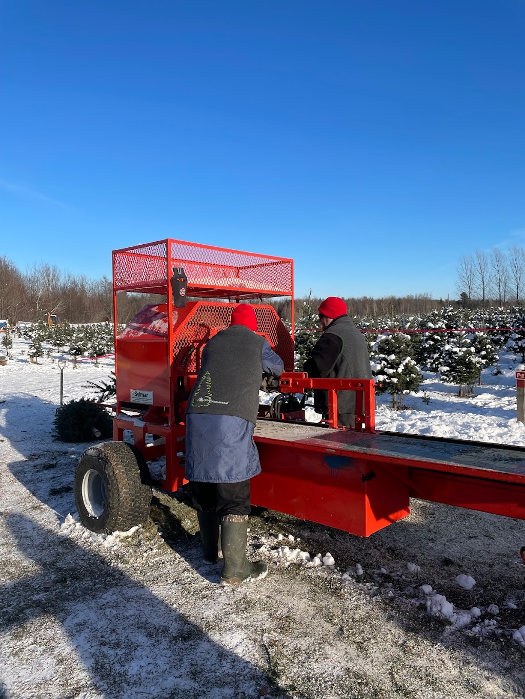 Sapins Drummond | 3305 Rte Caya, Saint-Nicéphore, QC J2A 2Z5, Canada | Phone: (819) 394-1147