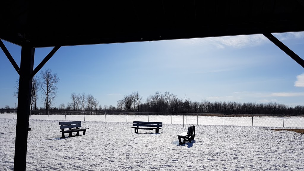 Parc Canin Saint-Amable | 355 Rue Thomas, Saint-Amable, QC J3V 6P4, Canada