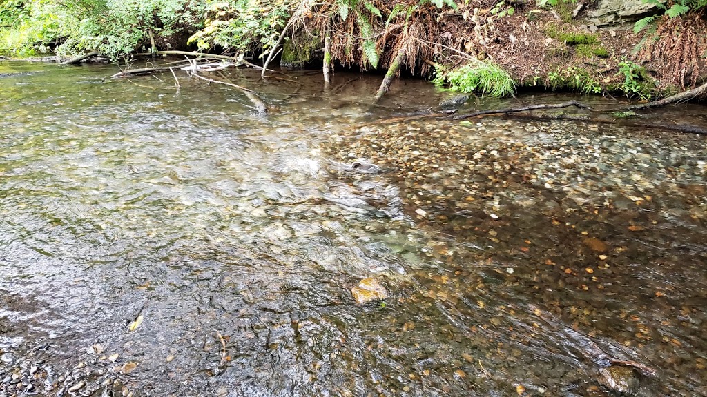 Thacker Regional Park | 20840 Union Bar Rd, Hope, BC V0X 1L1, Canada | Phone: (604) 702-5000