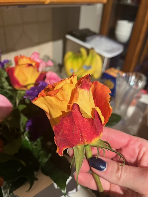 The Bloom Room Floral Company | 7767 Wellington Rd 124, Guelph, ON N1H 6H7, Canada | Phone: (519) 546-4548