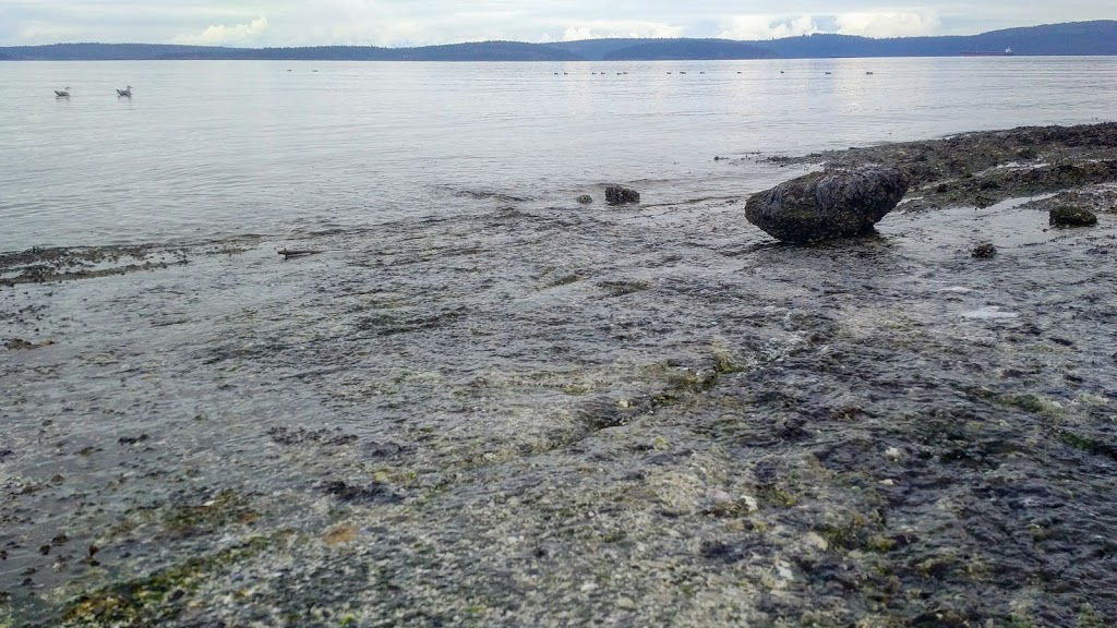 Blue Heron Park | Yellow Point Rd, Ladysmith, BC V9G 1E8, Canada