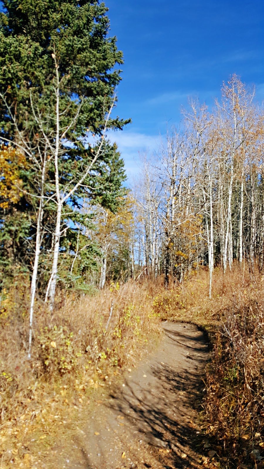 ClubHouse Activity Centre | Cochrane, AB T4C 1E2, Canada | Phone: (403) 851-2534