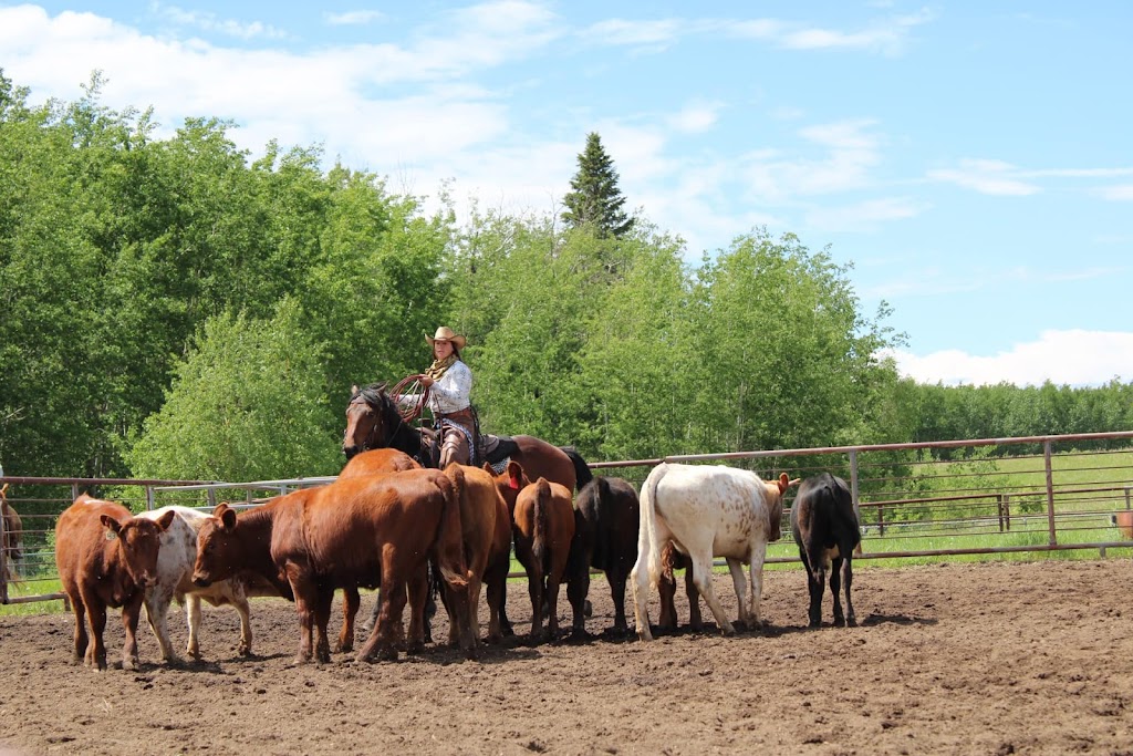 Done Roamin Horses | #577, Mundare, AB T0B 3H0, Canada | Phone: (403) 818-9105