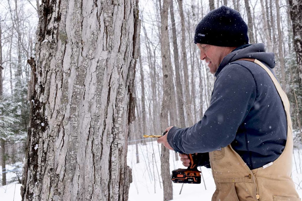 Maple Grove Syrup & Sleigh Rides | 2448 Burnside Line, Severn, ON L3V 0W1, Canada | Phone: (705) 321-2328