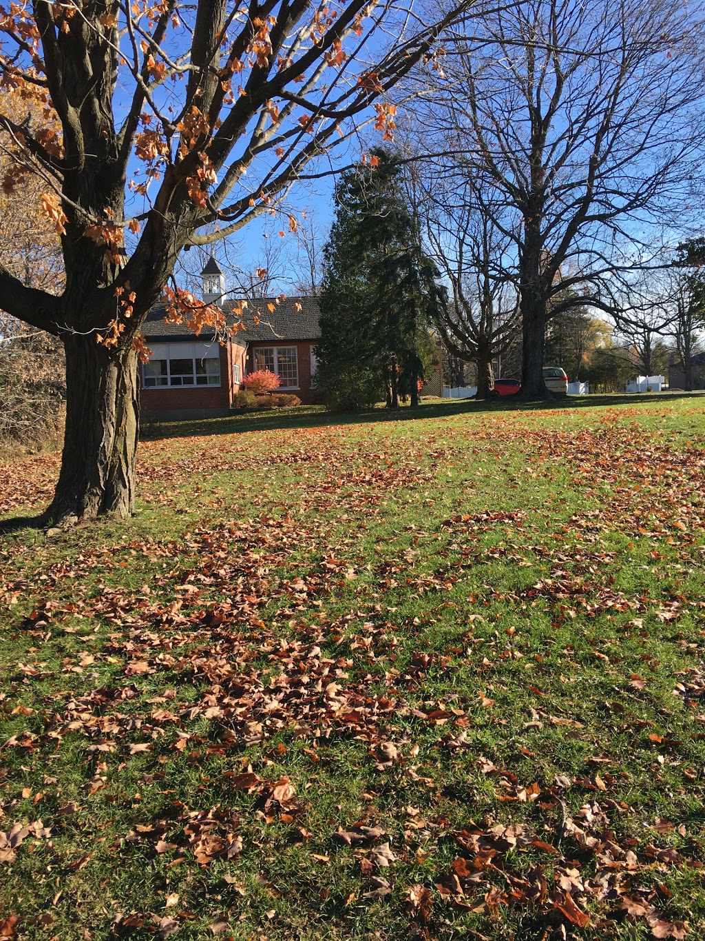 King City Trail | 13190 Keele St, King City, ON L7B 1J2, Canada | Phone: (905) 833-5321