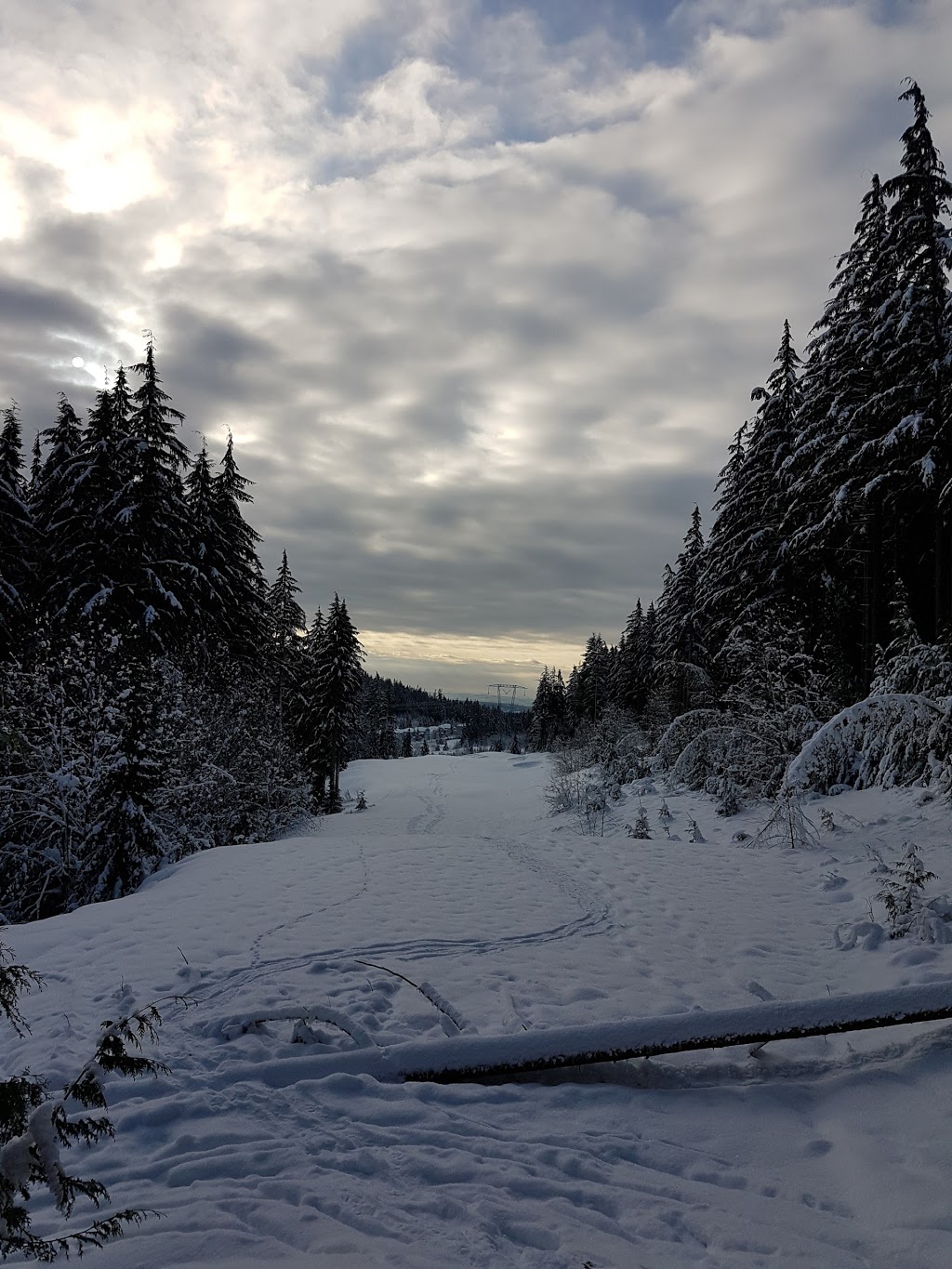 North Hoy Creek Park | 2231 Parkway Blvd, Coquitlam, BC V3E 3P8, Canada | Phone: (604) 927-3000