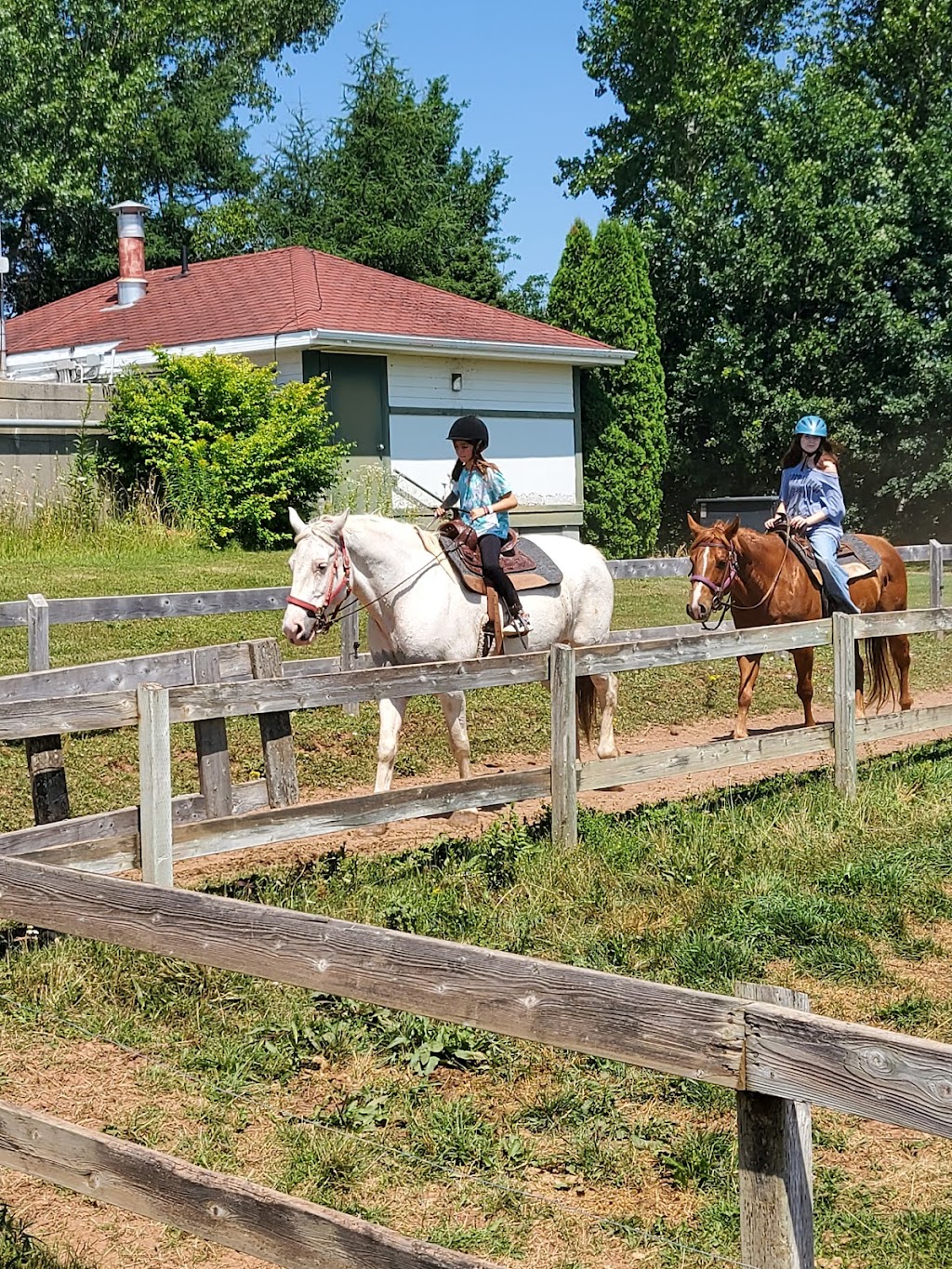 BRUDENELL RIDING STABLES | 235 Brudenell Island Blvd, Cardigan, PE C0A 1G0, Canada | Phone: (902) 652-2396