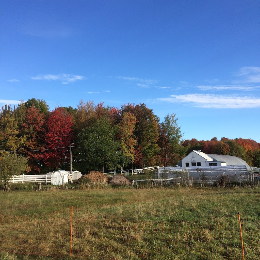 Jardins du Coeur et des Racines | 696 11e Rang, Saint-Eugène-de-Grantham, QC J0C 1J0, Canada | Phone: (418) 446-0503