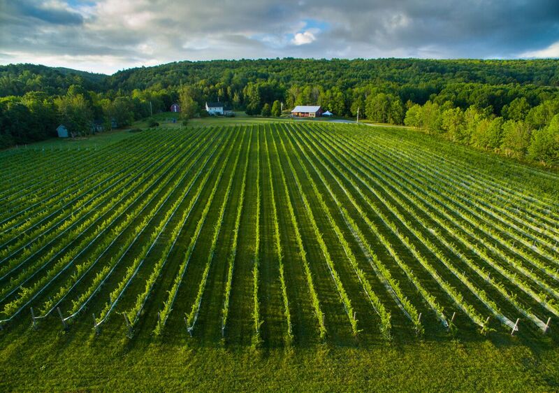 LAcadie Vineyards | 310 Slayter Rd, Gaspereau, RR1, Wolfville, NS B4P 2R1, Canada | Phone: (902) 542-8463